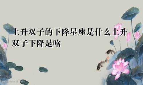 上升双子的下降星座是什么上升双子下降是啥