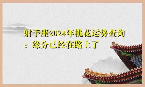 射手座2024年桃花运势查询：缘分已经在路上了