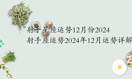 射手星座运势12月份2024射手座运势2024年12月运势详解