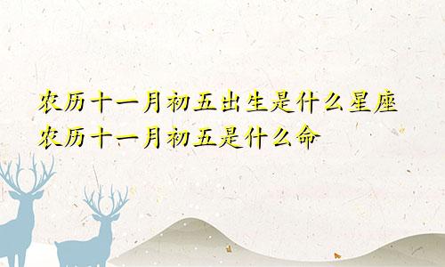 农历十一月初五出生是什么星座农历十一月初五是什么命