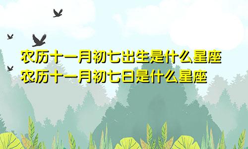农历十一月初七出生是什么星座农历十一月初七日是什么星座