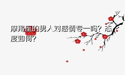摩羯座的男人对感情专一吗?态度如何?