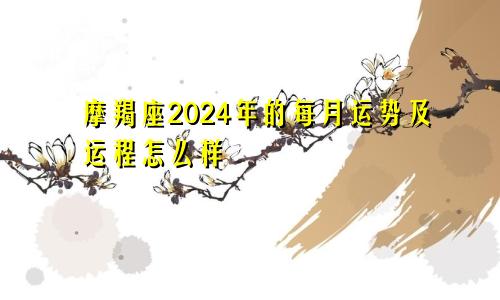 摩羯座2024年的每月运势及运程怎么样