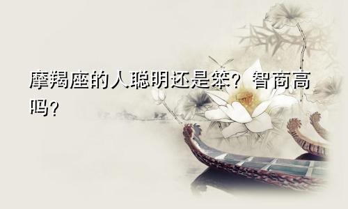 摩羯座的人聪明还是笨？智商高吗？