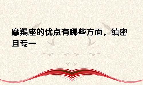 摩羯座的优点有哪些方面,缜密且专一