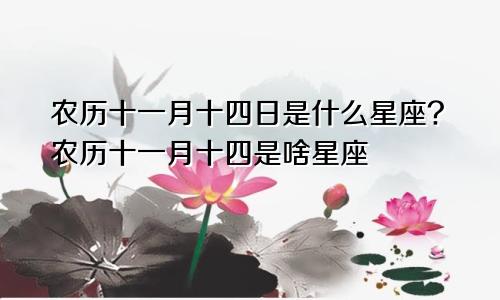 农历十一月十四日是什么星座?农历十一月十四是啥星座