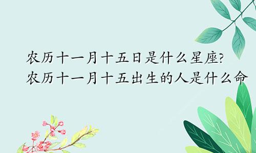 农历十一月十五日是什么星座?农历十一月十五出生的人是什么命