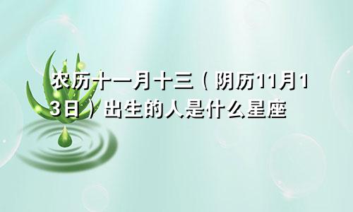 农历十一月十三（阴历11月13日）出生的人是什么星座