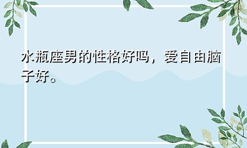 水瓶座男的性格好吗,爱自由脑子好。