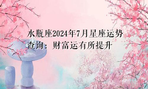 水瓶座2024年7月星座运势查询:财富运有所提升