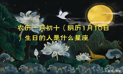农历一月初十（阴历1月10日）生日的人是什么星座