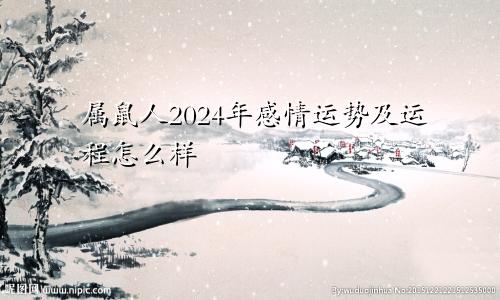 属鼠人2024年感情运势及运程怎么样