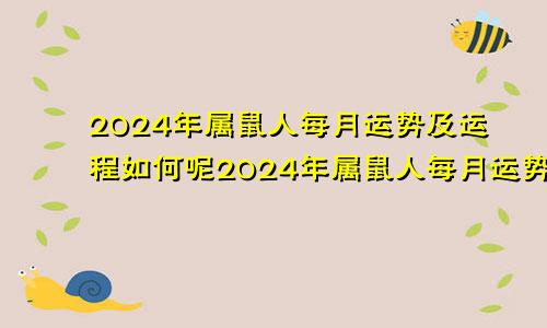 2024年属鼠人每月运势及运程如何呢2024年属鼠人每月运势及运程如何看