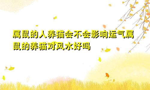 属鼠的人养猫会不会影响运气属鼠的养猫对风水好吗