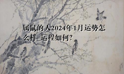 属鼠的人2024年1月运势怎么样_运程如何？