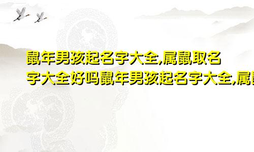 鼠年男孩起名字大全,属鼠取名字大全好吗鼠年男孩起名字大全,属鼠取名字大全及寓意