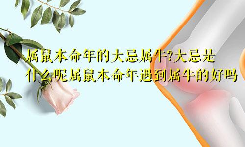 属鼠本命年的大忌属牛?大忌是什么呢属鼠本命年遇到属牛的好吗
