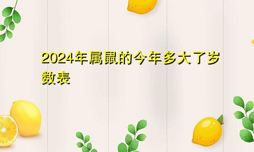 2024年属鼠的今年多大了岁数表