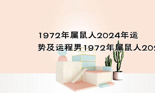 1972年属鼠人2024年运势及运程男1972年属鼠人2024年运势及运程女