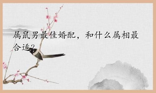 属鼠男最佳婚配，和什么属相最合适？