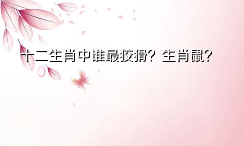 十二生肖中谁最狡猾？生肖鼠？