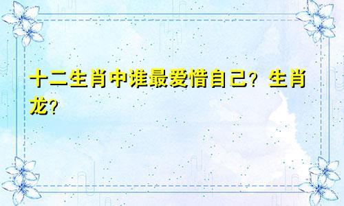 十二生肖中谁最爱惜自己？生肖龙？