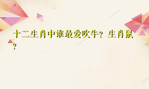 十二生肖中谁最爱吹牛？生肖鼠？