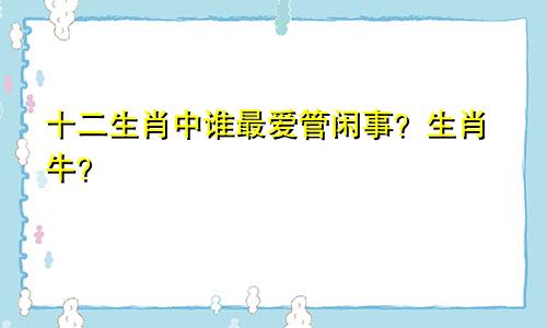 十二生肖中谁最爱管闲事？生肖牛？