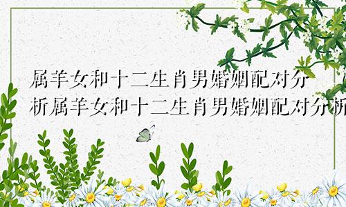 属羊女和十二生肖男婚姻配对分析属羊女和十二生肖男婚姻配对分析图