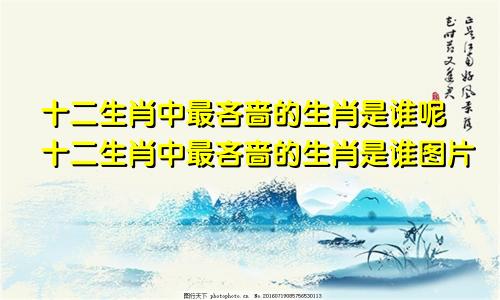 十二生肖中最吝啬的生肖是谁呢十二生肖中最吝啬的生肖是谁图片