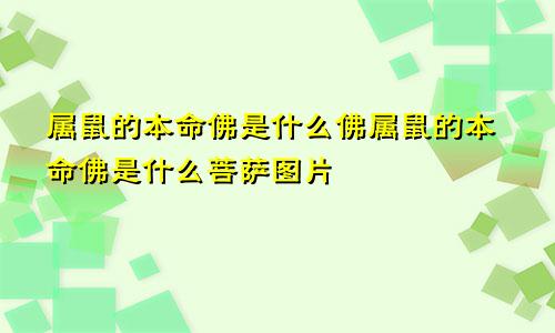 属鼠的本命佛是什么佛属鼠的本命佛是什么菩萨图片