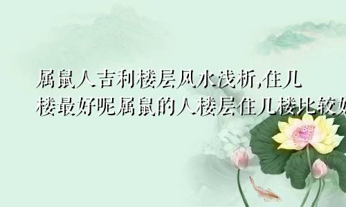 属鼠人吉利楼层风水浅析,住几楼最好呢属鼠的人楼层住几楼比较好