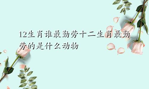 12生肖谁最勤劳十二生肖最勤劳的是什么动物
