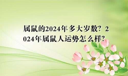 属鼠的2024年多大岁数？2024年属鼠人运势怎么样？