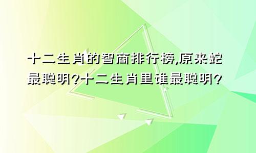十二生肖的智商排行榜,原来蛇最聪明?十二生肖里谁最聪明?