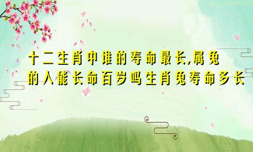 十二生肖中谁的寿命最长,属兔的人能长命百岁吗生肖兔寿命多长