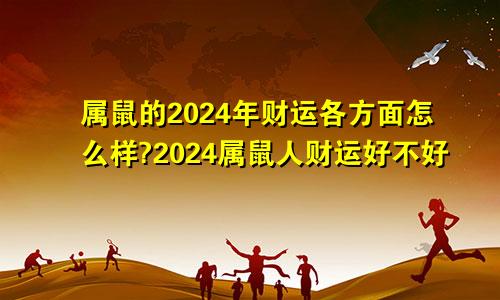属鼠的2024年财运各方面怎么样?2024属鼠人财运好不好