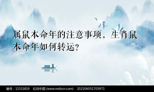 属鼠本命年的注意事项，生肖鼠本命年如何转运？