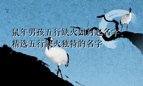 鼠年男孩五行缺火如何起名字，精选五行缺火独特的名字