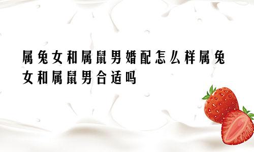 属兔女和属鼠男婚配怎么样属兔女和属鼠男合适吗