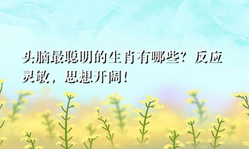 头脑最聪明的生肖有哪些？反应灵敏，思想开阔！