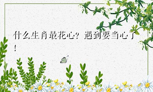 什么生肖最花心？遇到要当心了！