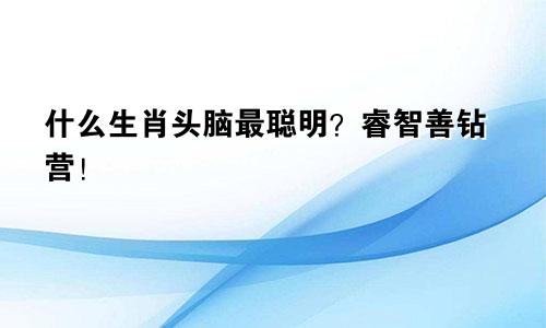 什么生肖头脑最聪明？睿智善钻营！