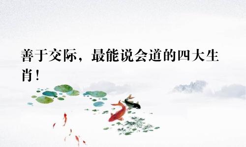 善于交际，最能说会道的四大生肖！