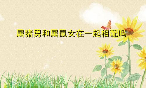 属猪男和属鼠女在一起相配吗