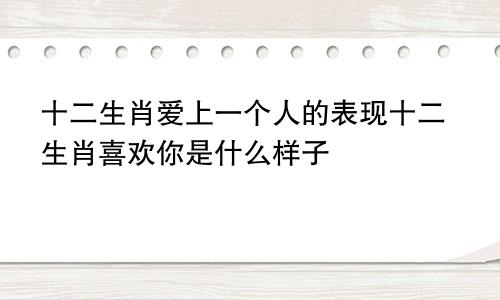 十二生肖爱上一个人的表现十二生肖喜欢你是什么样子