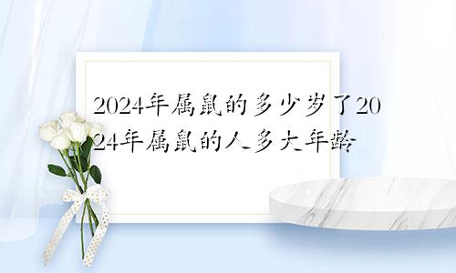 2024年属鼠的多少岁了2024年属鼠的人多大年龄