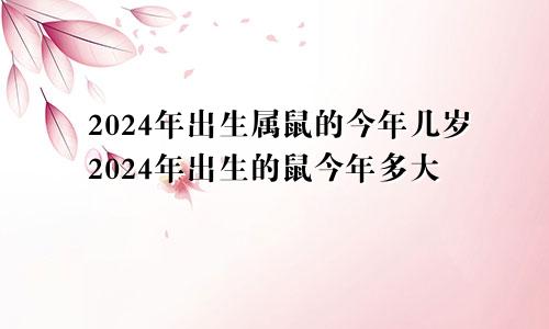 2024年出生属鼠的今年几岁2024年出生的鼠今年多大