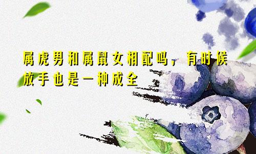 属虎男和属鼠女相配吗，有时候放手也是一种成全