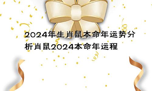 2024年生肖鼠本命年运势分析肖鼠2024本命年运程